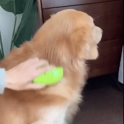 PetGlow™-Cepillo de vapor para mascotas
