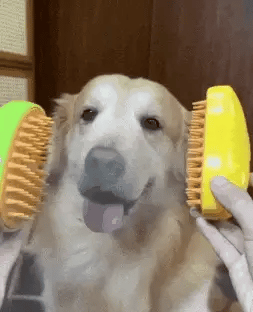 PetGlow™-Cepillo de vapor para mascotas